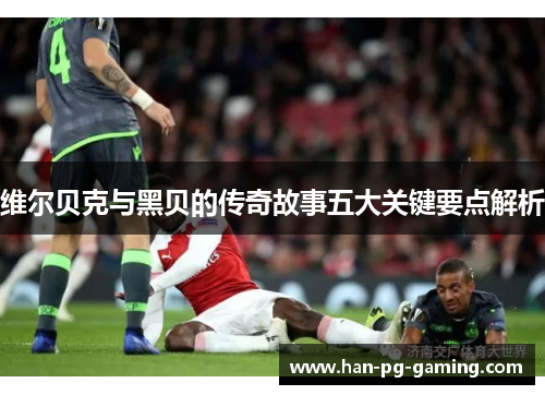 维尔贝克与黑贝的传奇故事五大关键要点解析